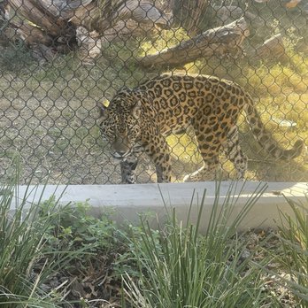 El Paso Zoo - Aquariums Near Me - El Paso, Texas El Paso Zoo - Aquariums Near Me - El Paso, Texas