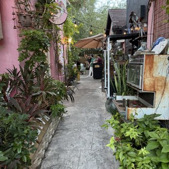 NEVERLAND COFFEE BAR - Updated December 2024 - 3175 Photos & 1077