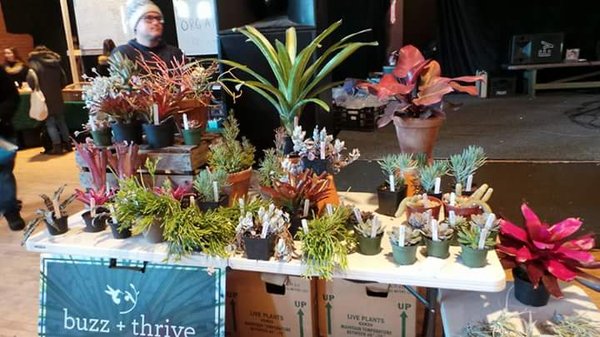 Somerville Winter Farmers Market by null