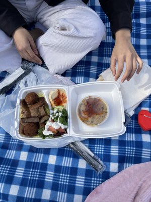 The Green Olive SFS by null