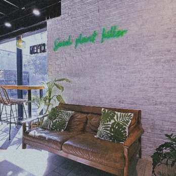 Cafe Mollie - Coffee & Tea Near Me - Phoenix, Arizona