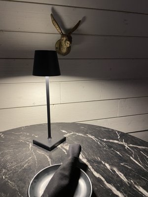 Brass Rabbit by null