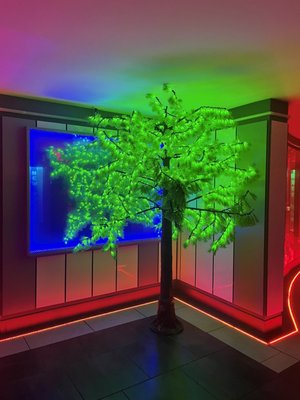 City Night KTV Karaoke Bar & Café by null