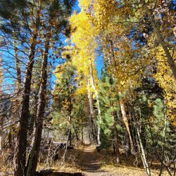 Parker Lake Trail