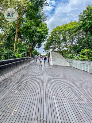 Henderson Waves by null