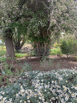 Amador Flower Farm by null