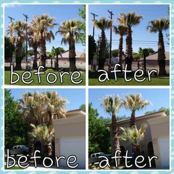 Boyd And Sons Irrigation - Over 30 years of experience in landscape design, irrigation systems, pruning, planting trees, metal edging, all your landscap...