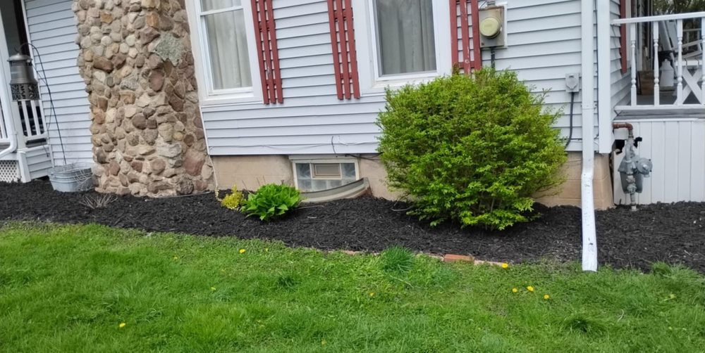 Johnson Services - veterans service organization in Albion, NY