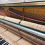 Photo of Naira’s Piano Tuner