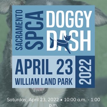 Doggie Dash - Community Service/Non-Profit Near Me - Sacramento, California Doggie Dash - Community Service/Non-Profit Near Me - Sacramento, California