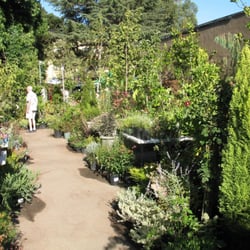 Barristers Nursery - A view of the nursery on a summer's day.