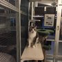 Photo of Cozy Cat Lodge - Kailua