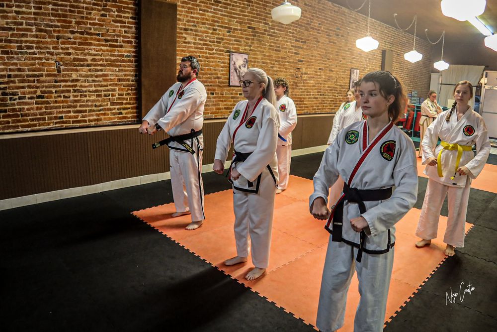 Taekwondo Academy of Erin Logo