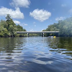Edisto River Adventures