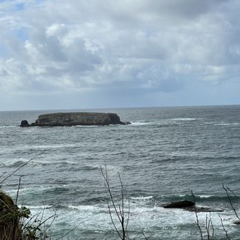 Inn at Otter Crest - View - Hotels Near Me - Otter Rock, Oregon