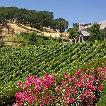 Masterpiece Gardens & Design - a vineyard in the background - Landscaping Near Me - Daly City, California Masterpiece Gardens & Design - a vineyard in the background - Landscaping Near Me - Daly City, California