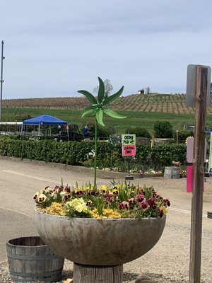 Amador Flower Farm by null