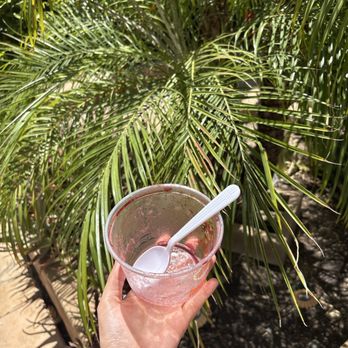 Mamma’s Juicery - Empty açaí bowl - Juice Bars & Smoothies Near Me - Murrieta, California Mamma’s Juicery - Empty açaí bowl - Juice Bars & Smoothies Near Me - Murrieta, California