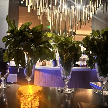 Civility & Unrest - Bar - Cocktail Bars Near Me - Bellevue, Washington