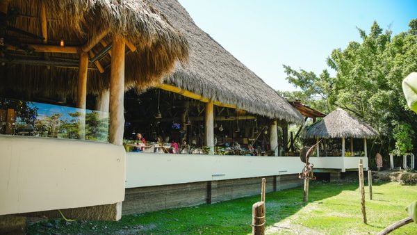 The Blue Shrimp Nuevo Vallarta by null