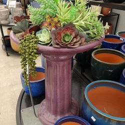 Gullo's Garden Center
