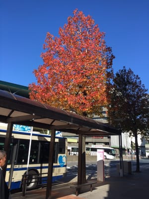 Kanayama Station 11 Photos Train Stations 中区金山1 名古屋市 愛知県 Japan Yelp