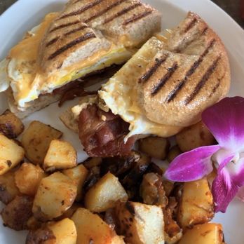 Nuno's Cafe - Bagelini Sandwich - Breakfast & Brunch Near Me - Orlando, Florida