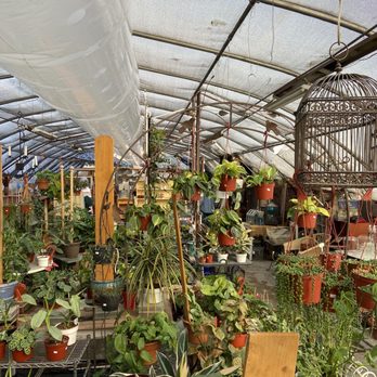 Planted Earth Floral - Greenhouse - Antiques Near Me - Orem, Utah