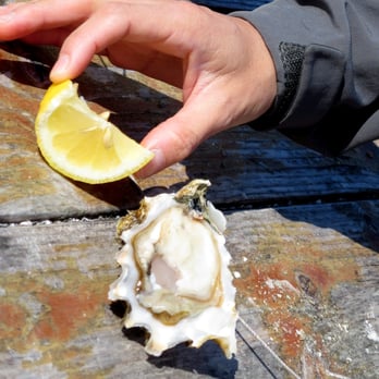 Taylor Shellfish Farms - Taylor Shellfish Farms - Seafood Markets Near Me - Bow, Washington Taylor Shellfish Farms - Taylor Shellfish Farms - Seafood Markets Near Me - Bow, Washington