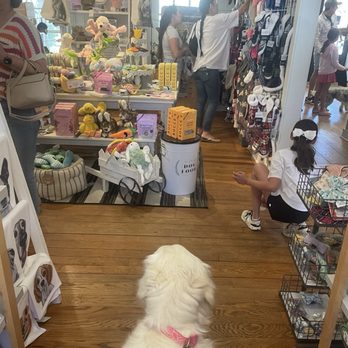 The Downtown Pooch - So many options!!! - Pet Stores Near Me - Roswell, Georgia The Downtown Pooch - So many options!!! - Pet Stores Near Me - Roswell, Georgia