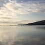 Photo of Tiburon Half Marathon