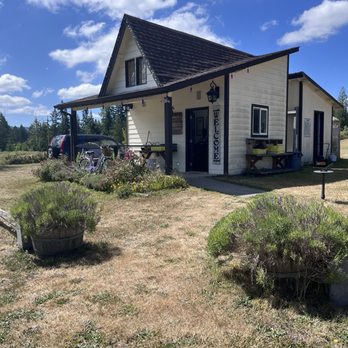 Stringtown Cellars & Lavender Farm - Wineries Near Me - Eatonville, Washington Stringtown Cellars & Lavender Farm - Wineries Near Me - Eatonville, Washington