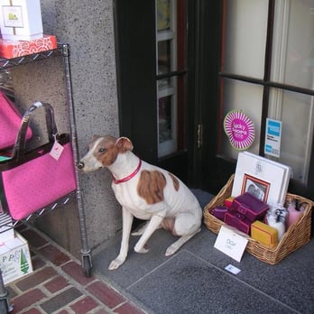Flat of the Hill - Plastic Dog - Accessories Near Me - Boston, Massachusetts