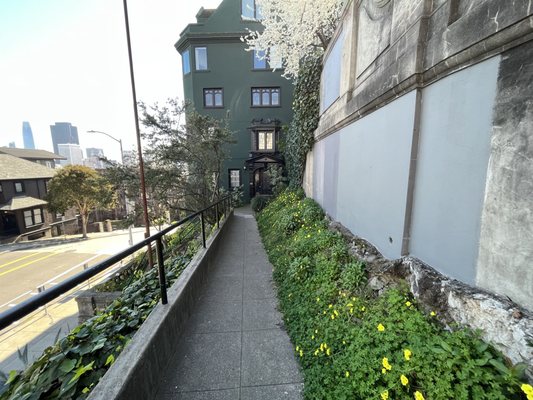Vallejo Steps by null