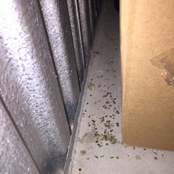 Dino's Storage - bugs and droppings - Self Storage Near Me - Bellevue, Nebraska