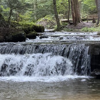 Swallow Falls State Park - Parks Near Me - Oakland, Maryland