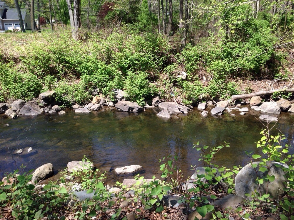 CEDAR GROVE COMMUNITY PARK Updated September 2024 525 Pompton Ave