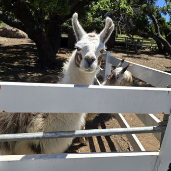 Malibu Wine Hikes - Adorable - Hiking Near Me - Malibu, California Malibu Wine Hikes - Adorable - Hiking Near Me - Malibu, California