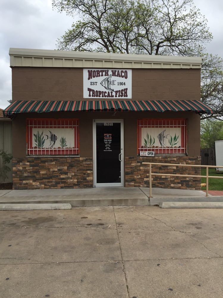 NORTH WACO TROPICAL FISH Updated September 2024 14 Reviews 1521 N