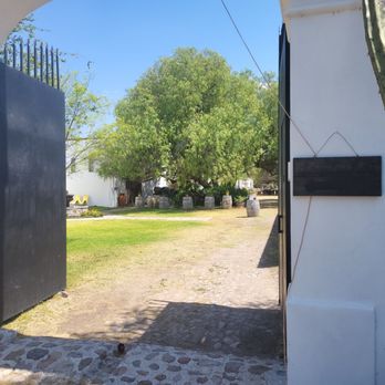 Bodega Dos Búhos - Wineries Near Me - San Miguel de Allende, GUA