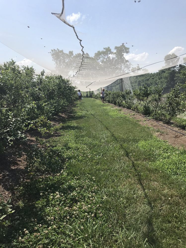 REED VALLEY ORCHARD Updated June 2024 15 Photos & 11 Reviews 239