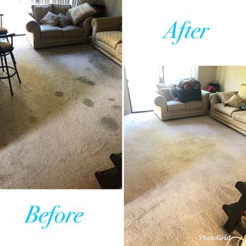 Absolute Green Solutions - Carpet Cleaning Near Me