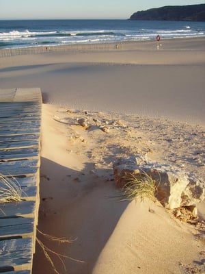 Praia do Guincho by null