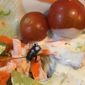 Black Bear Diner Modesto - Pictures of the cockroaches I found in my salad. - Diners Near Me - Modesto, California