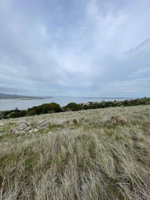 Ring Mountain Preserve by null