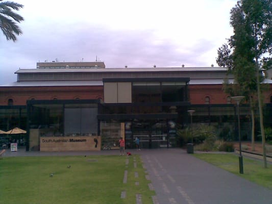 South Australian Museum by null