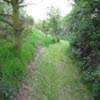 Fairies Hill Moorings - Nature Walks - Active Life Near Me - Castleford, XWY Fairies Hill Moorings - Nature Walks - Active Life Near Me - Castleford, XWY