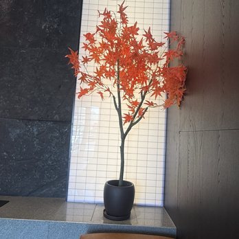 Wako Japanese Restaurant - Waiting area - Japanese Near Me - Chattanooga, Tennessee Wako Japanese Restaurant - Waiting area - Japanese Near Me - Chattanooga, Tennessee