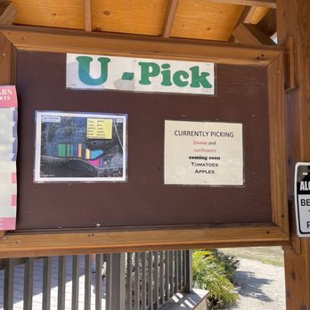 Avila Valley Barn - Seasonal schedule - Fruits & Veggies Near Me - San Luis Obispo, California Avila Valley Barn - Seasonal schedule - Fruits & Veggies Near Me - San Luis Obispo, California