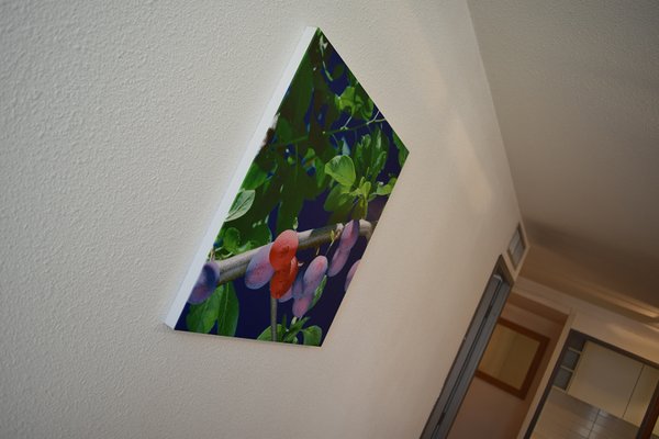 Residhotel Galerie Tatry by null